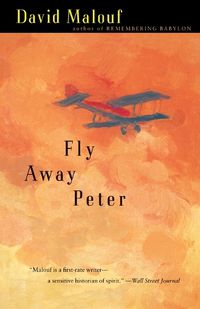 Cover image for Fly Away Peter