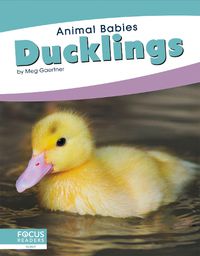 Cover image for Animal Babies: Ducklings