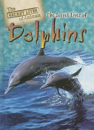 The Secret Lives of Dolphins