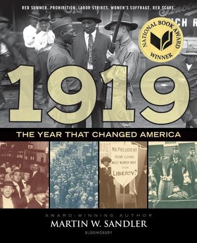 Cover image for 1919 the Year That Changed America