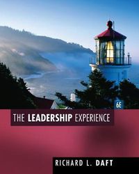 Cover image for The Leadership Experience