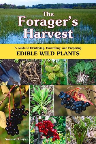 Cover image for The Forager's Harvest: A Guide to Identifying, Harvesting, and Preparing Edible Wild Plants
