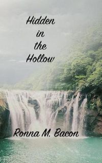 Cover image for Hidden in the Hollow