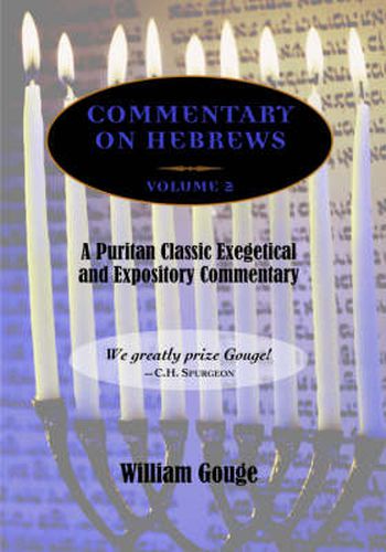 Cover image for Commentary on Hebrews: Exegetical and Expository - Vol. 2 (PB)