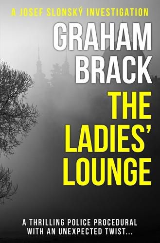 Cover image for The Ladies' Lounge