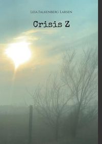 Cover image for Crisis Z