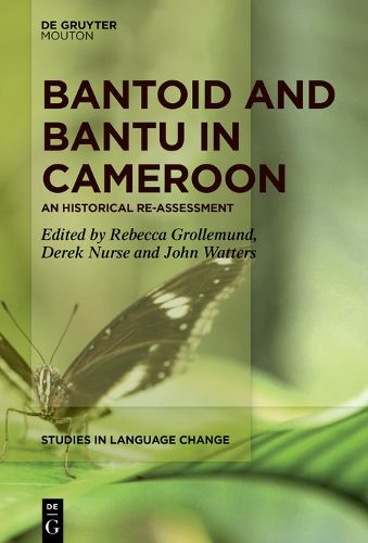 Bantoid and Bantu in Cameroon, (9783110739381) — Readings Books