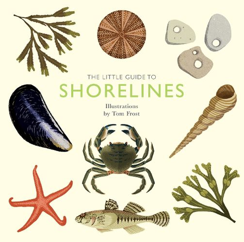 Cover image for The Little Guide to Shorelines