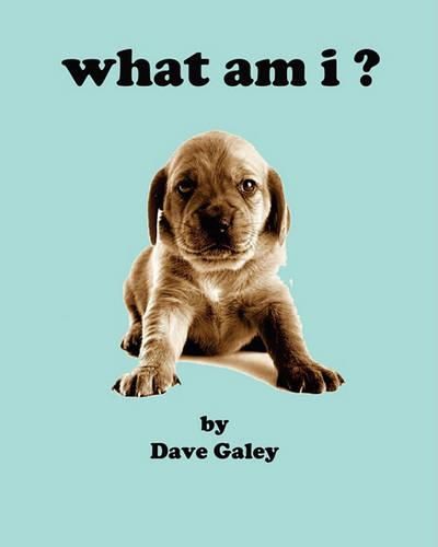 Cover image for what am i