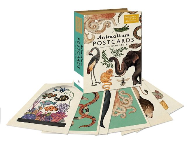 Cover image for Animalium Postcards