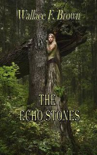 Cover image for The Echo Stones