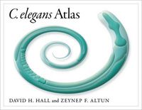 Cover image for C. Elegans Atlas