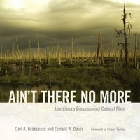 Cover image for Ain't There No More: Louisiana's Disappearing Coastal Plain