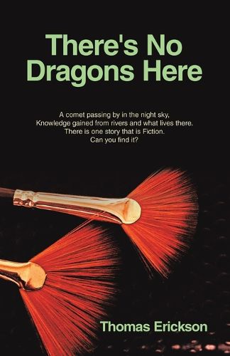 Cover image for There's No Dragons Here
