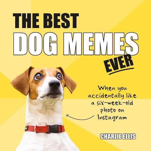Cover image for The Best Dog Memes Ever: The Funniest Relatable Memes as Told by Dogs