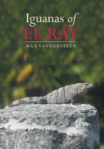 Cover image for Iguanas of El Ray