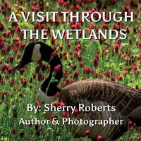 Cover image for A Visit Through the Wetlands