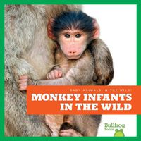 Cover image for Monkey Infants in the Wild