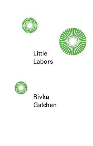Cover image for Little Labors