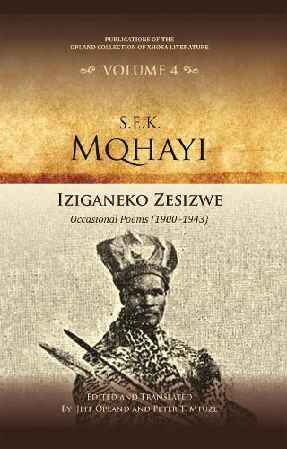 Cover image for Iziganeko zesizwe