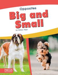 Cover image for Opposites: Big and Small