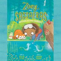 Cover image for Zoey and Sassafras: Merhorses and Bubbles
