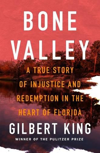 Cover image for Bone Valley