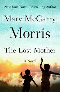 Cover image for The Lost Mother: A Novel