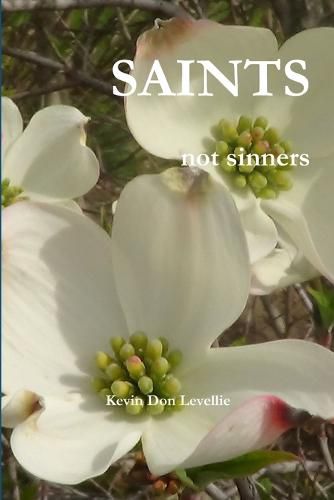 Cover image for Saints Not Sinners