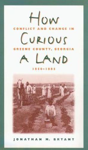 Cover image for How Curious a Land: Conflict and Change in Greene County, Georgia, 1850-1885