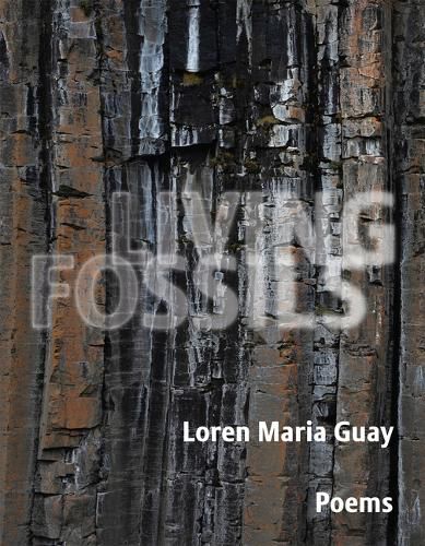 Cover image for Living Fossils