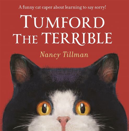 Cover image for Tumford the Terrible