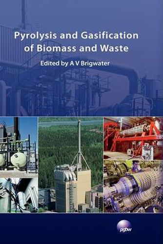 Cover image for Pyrolysis and Gasification of Biomass and Waste