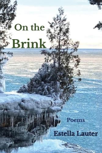 Cover image for On the Brink