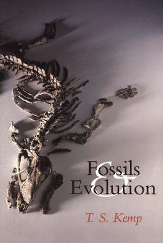 Cover image for Fossils and Evolution