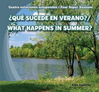 Cover image for ?Que Sucede En Verano? / What Happens in Summer?