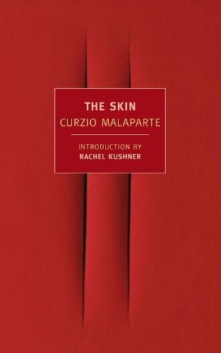 Cover image for The Skin