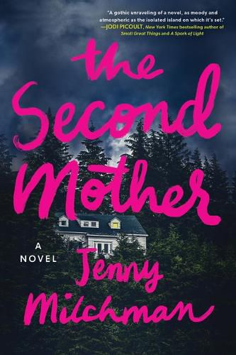 Cover image for The Second Mother: A Novel