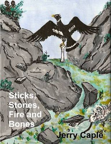 Cover image for Sticks and Stones