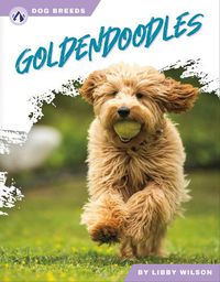 Cover image for Goldendoodles