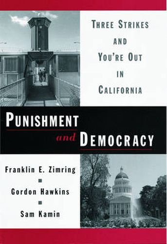 Cover image for Punishment and Democracy