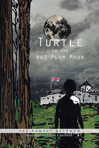 Cover image for Turtle in the Hot Plum Moon