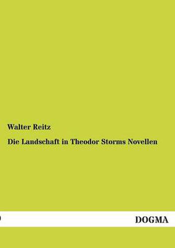 Cover image for Die Landschaft in Theodor Storms Novellen