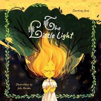 Cover image for The Little Light