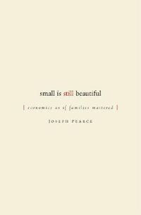 Cover image for Small is Still Beautiful