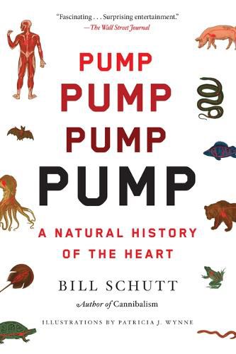 Cover image for Pump: A Natural History of the Heart