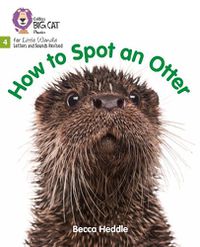 Cover image for How to Spot an Otter: Phase 4 Set 2