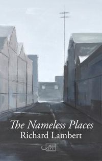 Cover image for The Nameless Places