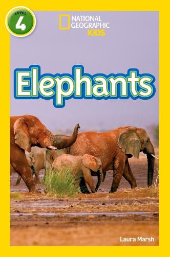 Cover image for Elephants: Level 4