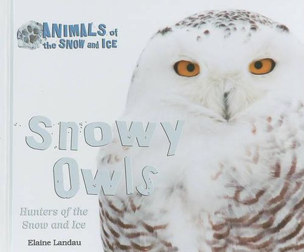 Cover image for Snowy Owls: Hunters of the Snow and Ice